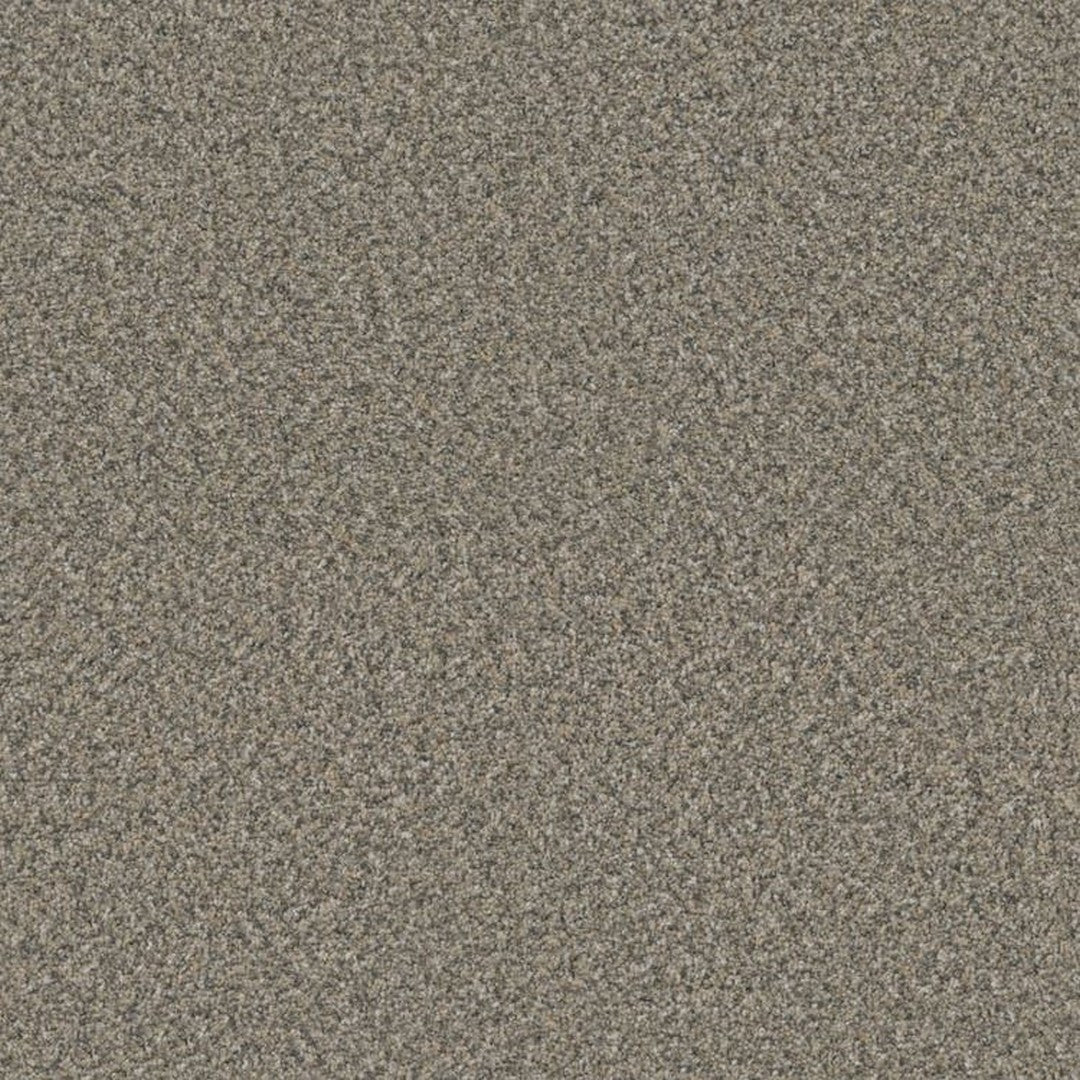 Phenix Floor Ever Suceed 12' Carpet Tile