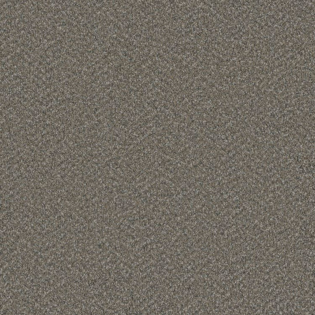 Phenix Floor Ever Suceed 12' Carpet Tile