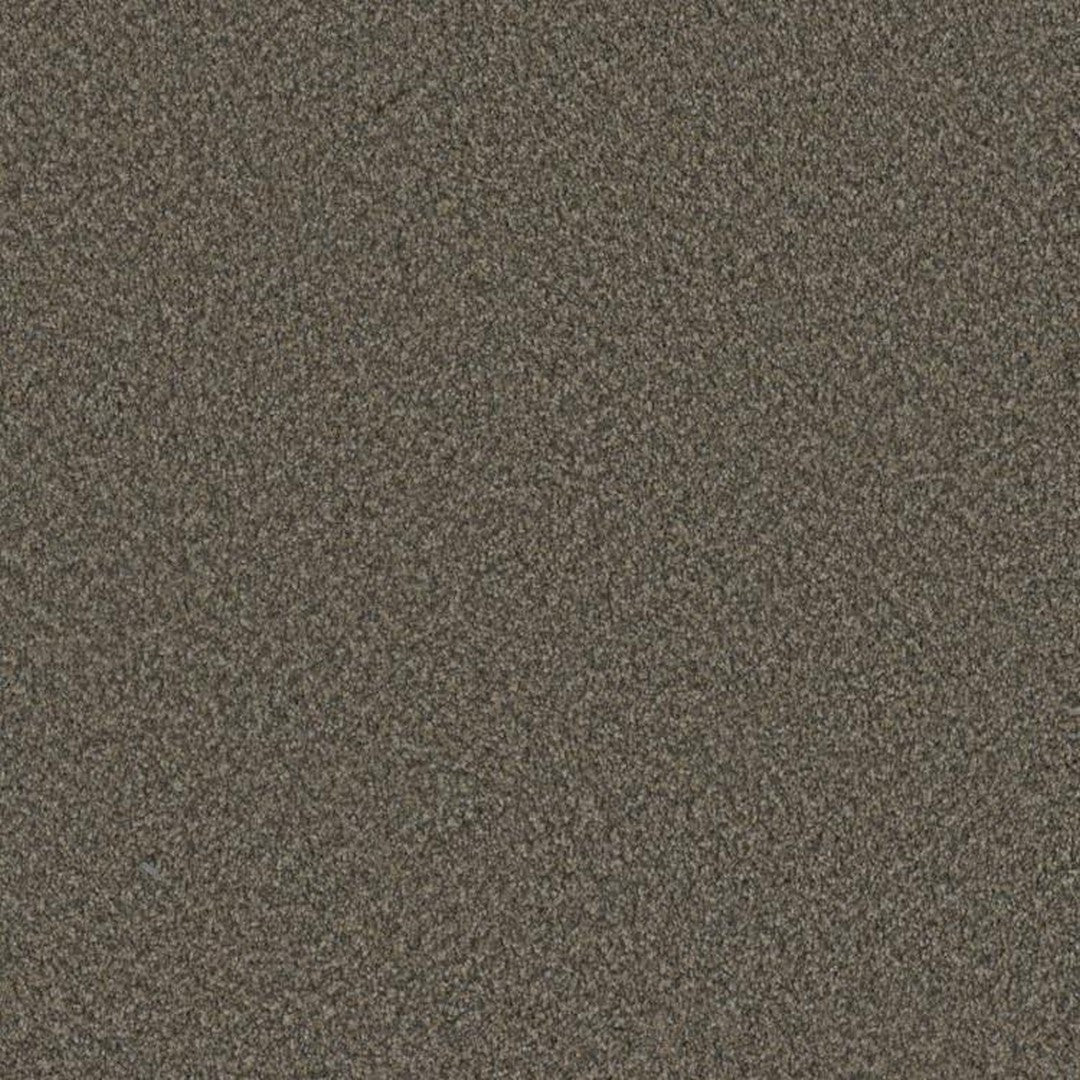 Phenix Floor Ever Suceed 12' Carpet Tile