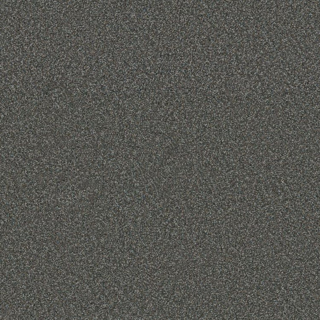 Phenix Floor Ever Suceed 12' Carpet Tile