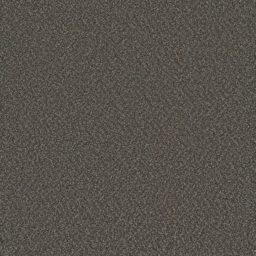 Phenix Floor Ever Suceed 12' Carpet Tile