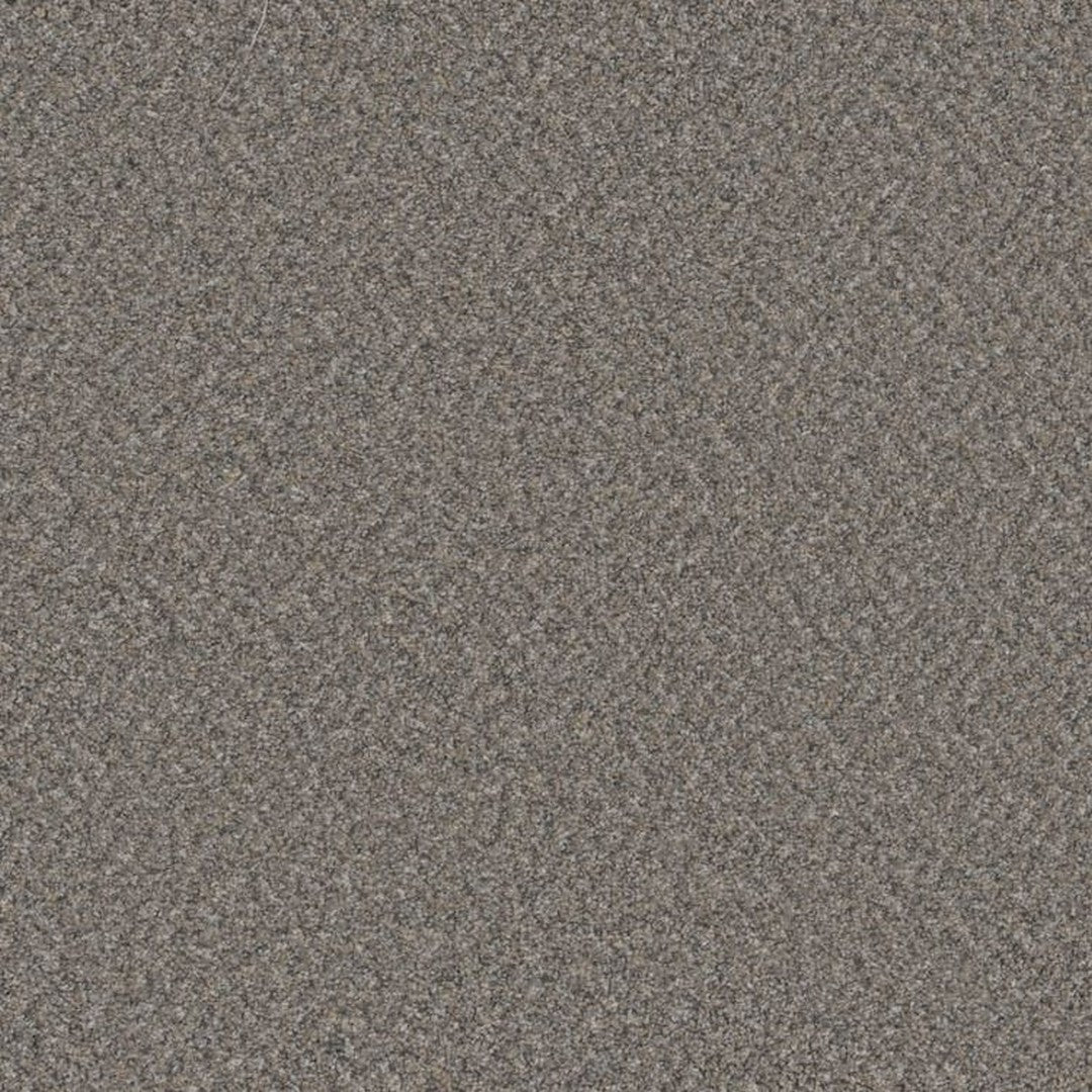 Phenix Floor Ever Suceed 12' Carpet Tile