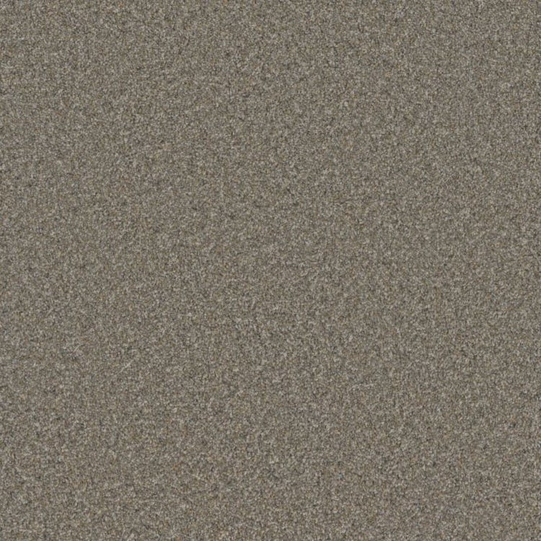 Phenix Floor Ever Suceed 12' Carpet Tile