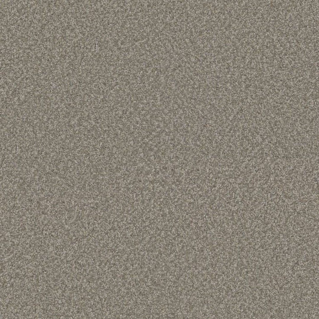 Phenix Floor Ever Suceed 12' Carpet Tile