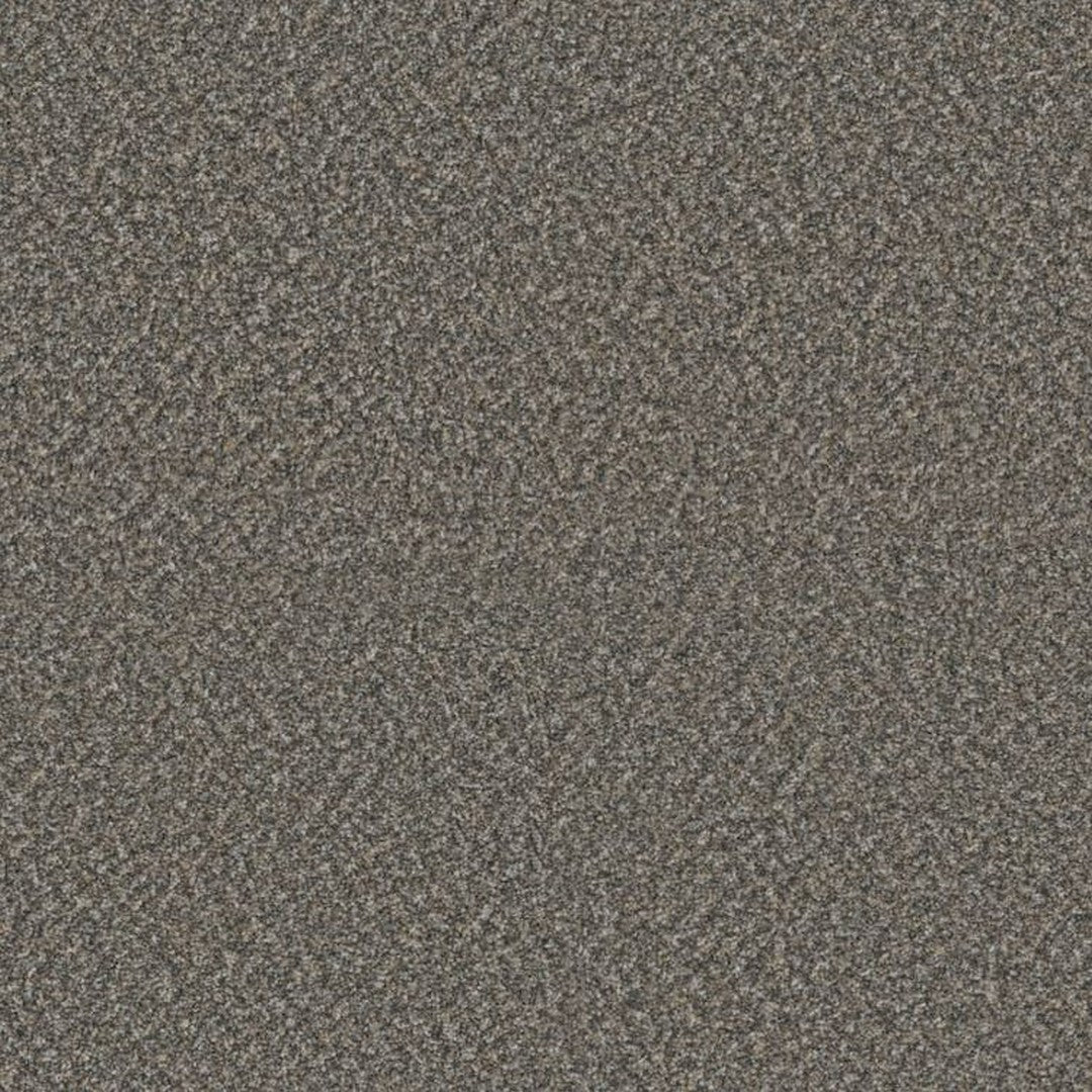 Phenix Floor Ever Suceed 12' Carpet Tile