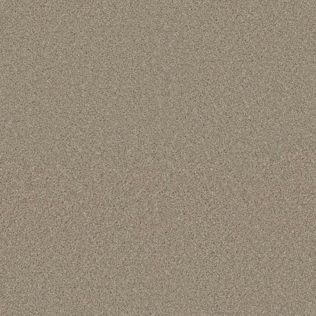 Phenix Floor Ever Surpass 12' Carpet Tile