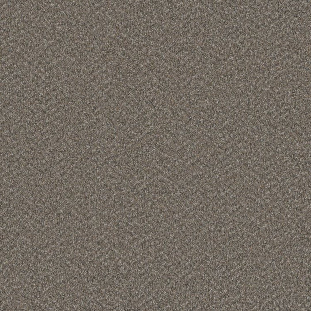 Phenix Floor Ever Surpass 12' Carpet Tile