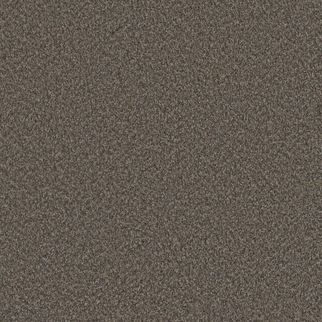 Phenix Floor Ever Surpass 12' Carpet Tile