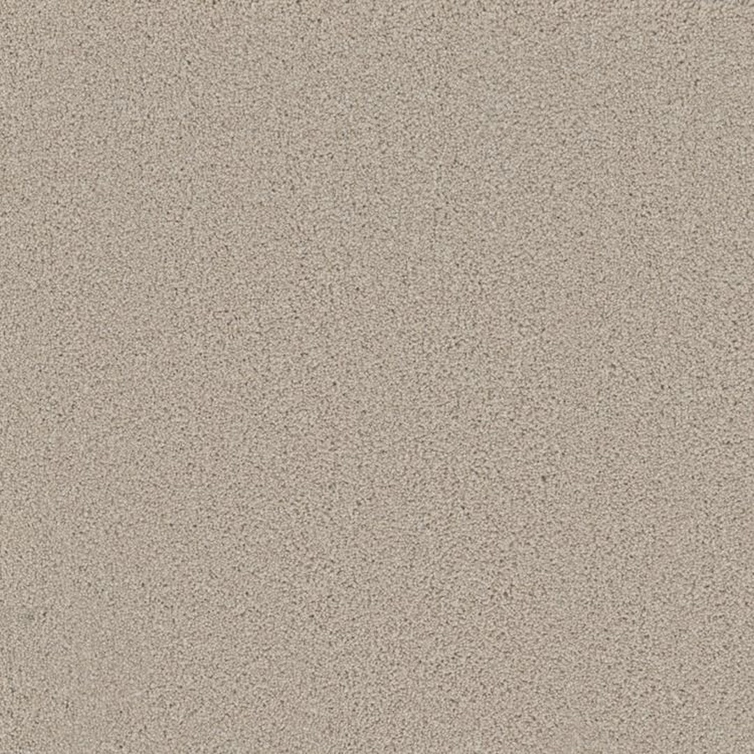 Phenix Floor Ever Achieve 12' Carpet Tile