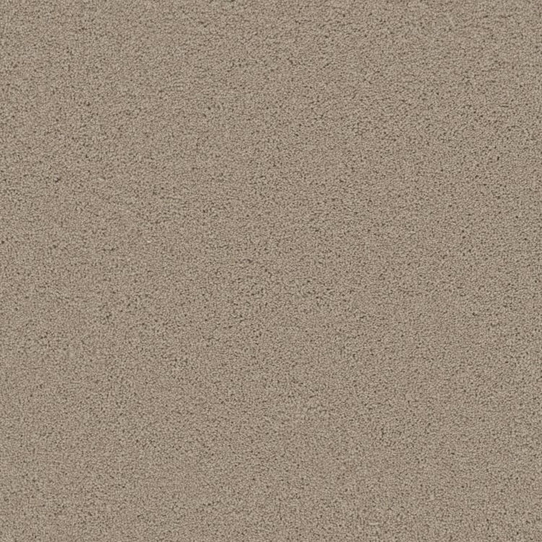 Phenix Floor Ever Achieve 12' Carpet Tile