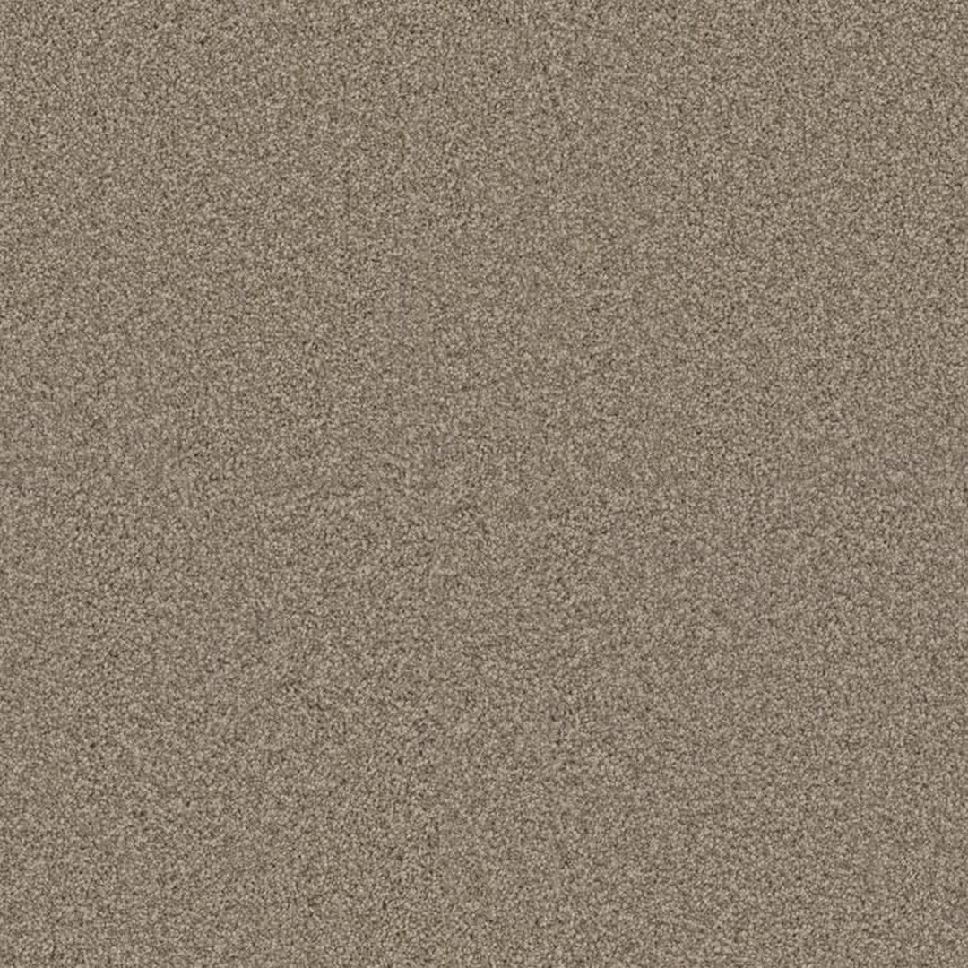 Phenix Floor Ever Achieve 12' Carpet Tile