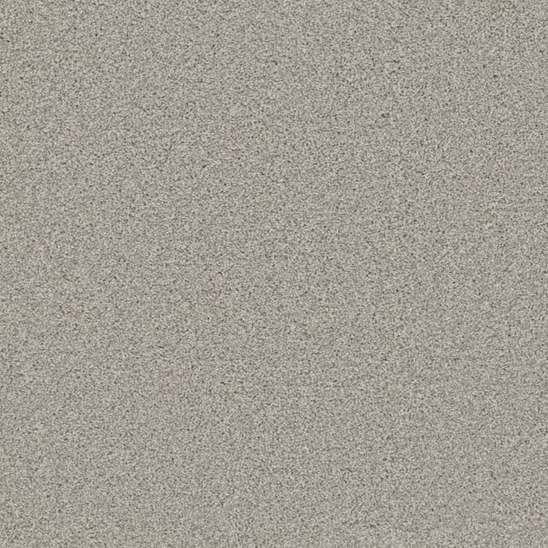 Phenix Floor Ever Achieve 12' Carpet Tile