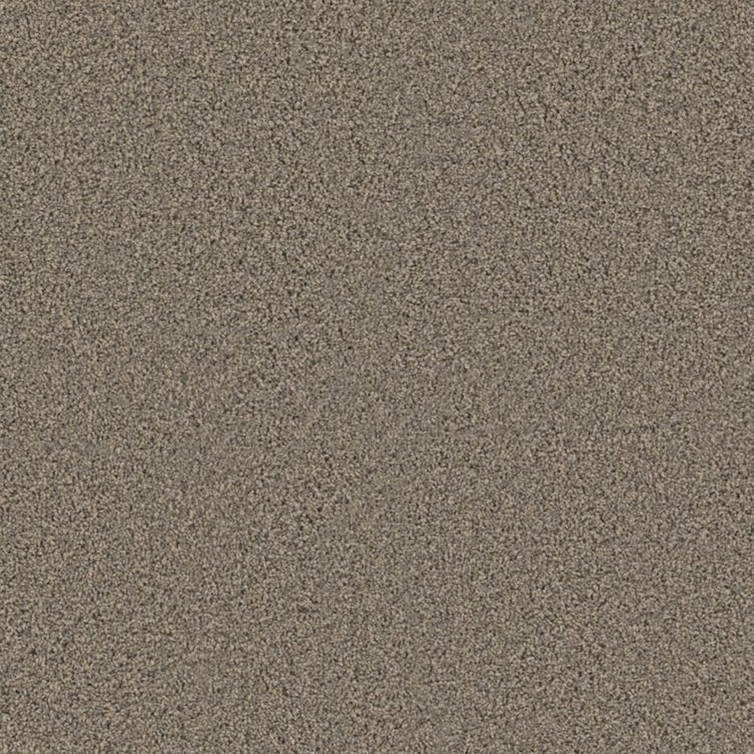 Phenix Floor Ever Achieve 12' Carpet Tile