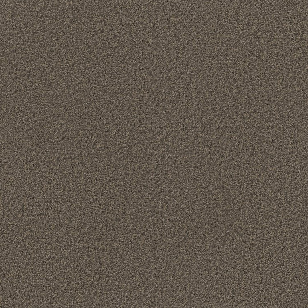 Phenix Floor Ever Achieve 12' Carpet Tile