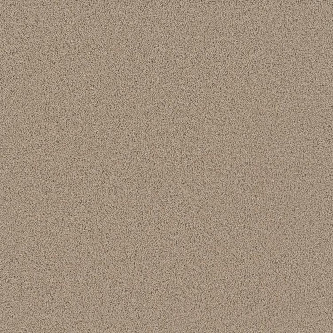 Phenix Floor Ever 12' Attain Carpet Tile