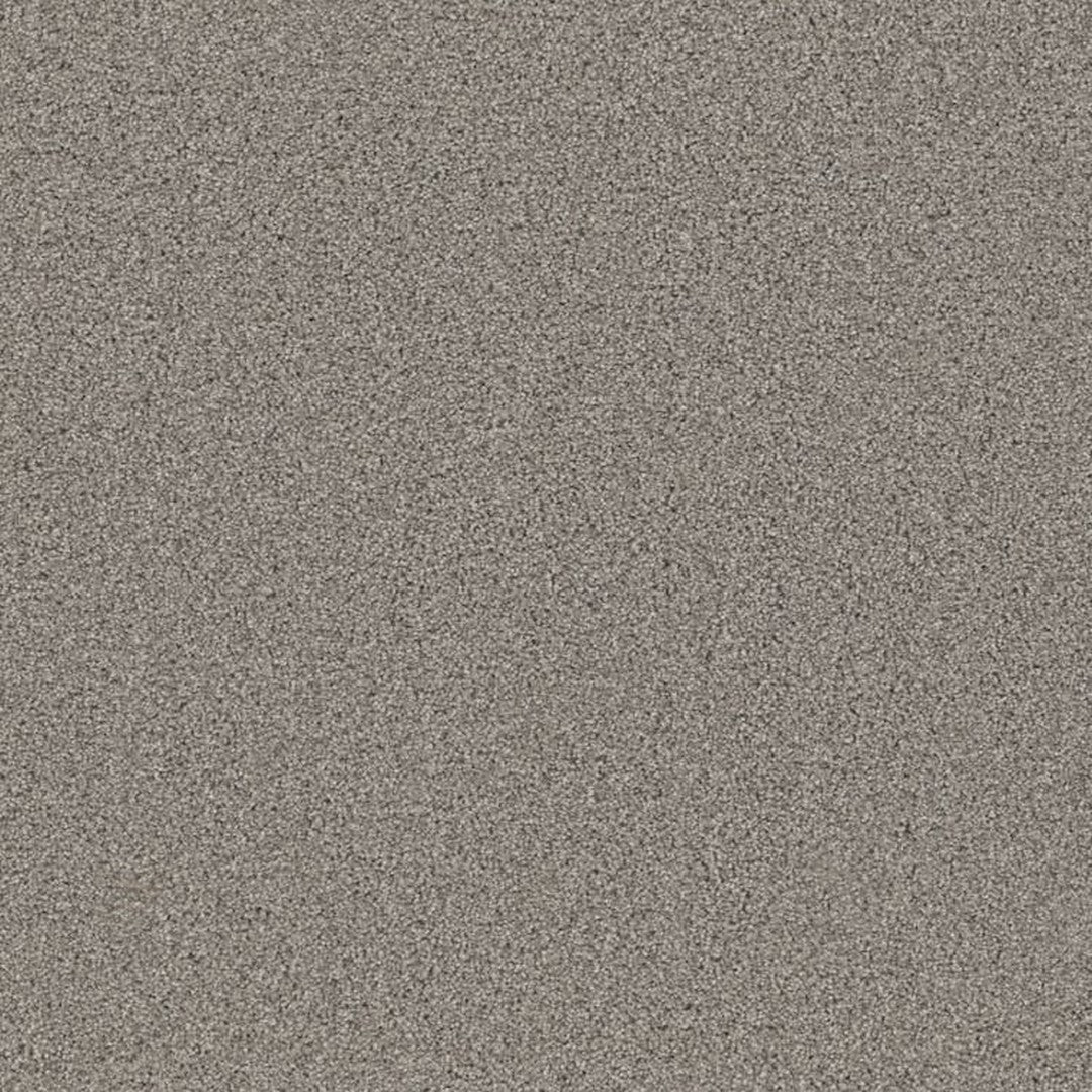 Phenix Floor Ever 12' Attain Carpet Tile