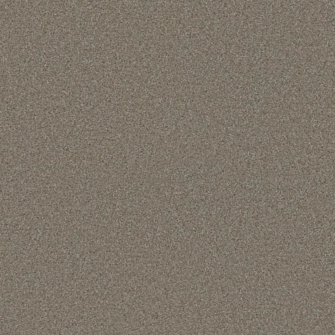 Phenix Floor Ever 12' Ebullient Carpet Tile