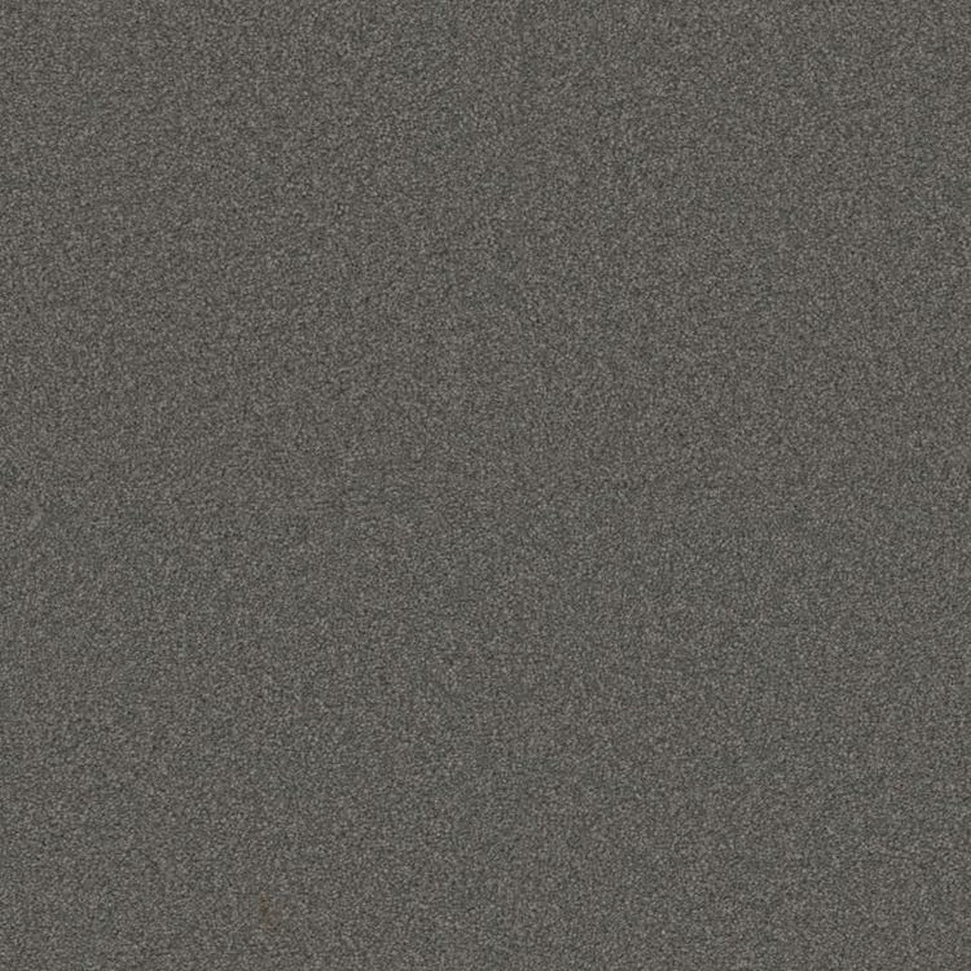 Phenix Floor Ever 12' Ebullient Carpet Tile