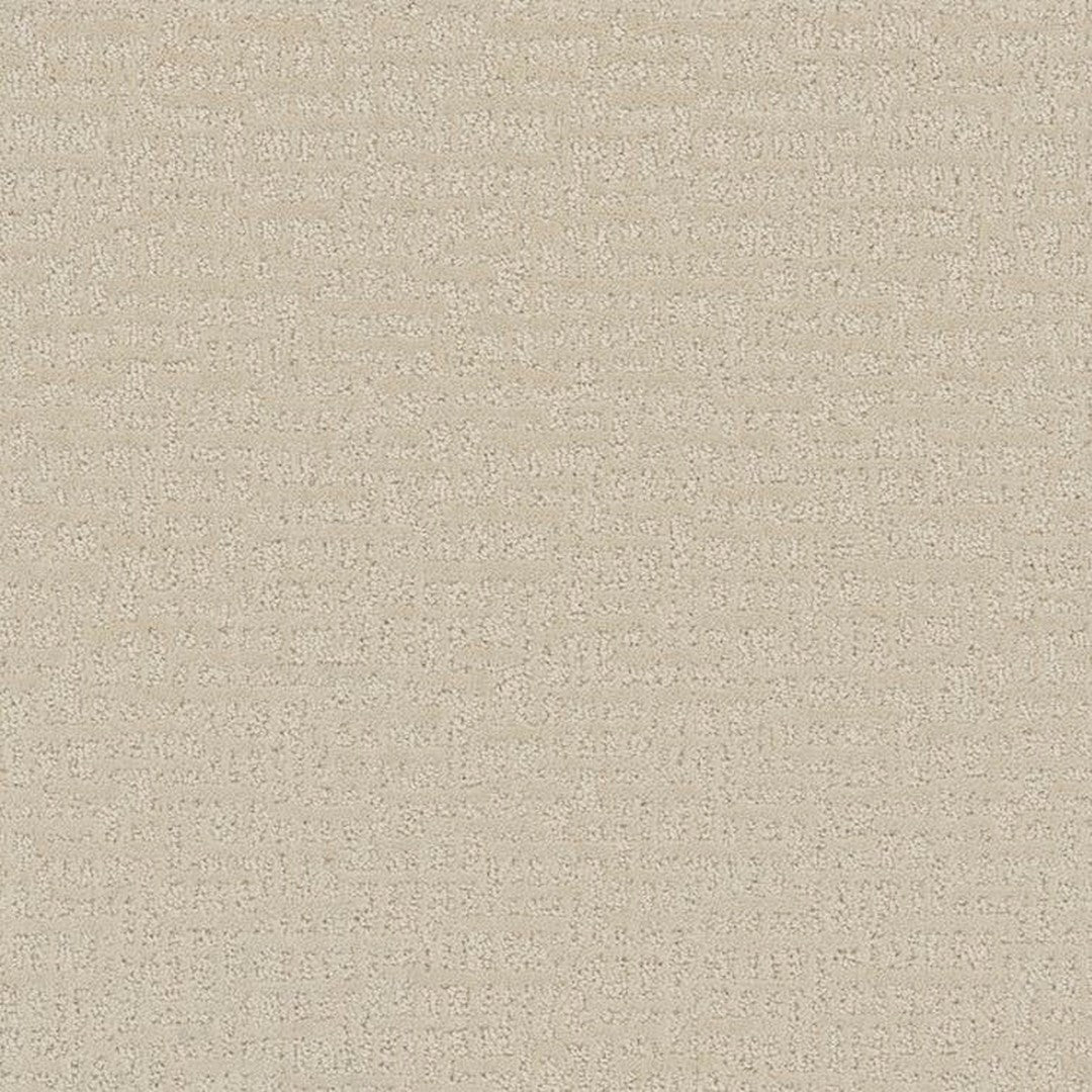 Phenix Floor Ever 12' Sonder Carpet Tile