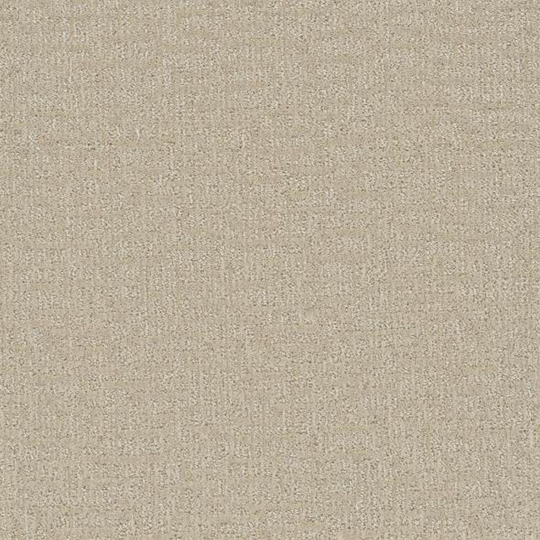 Phenix Floor Ever 12' Sonder Carpet Tile