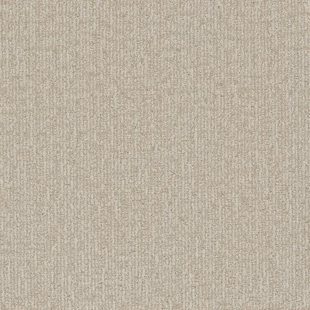 Phenix Floor Ever 12' Sonder Carpet Tile