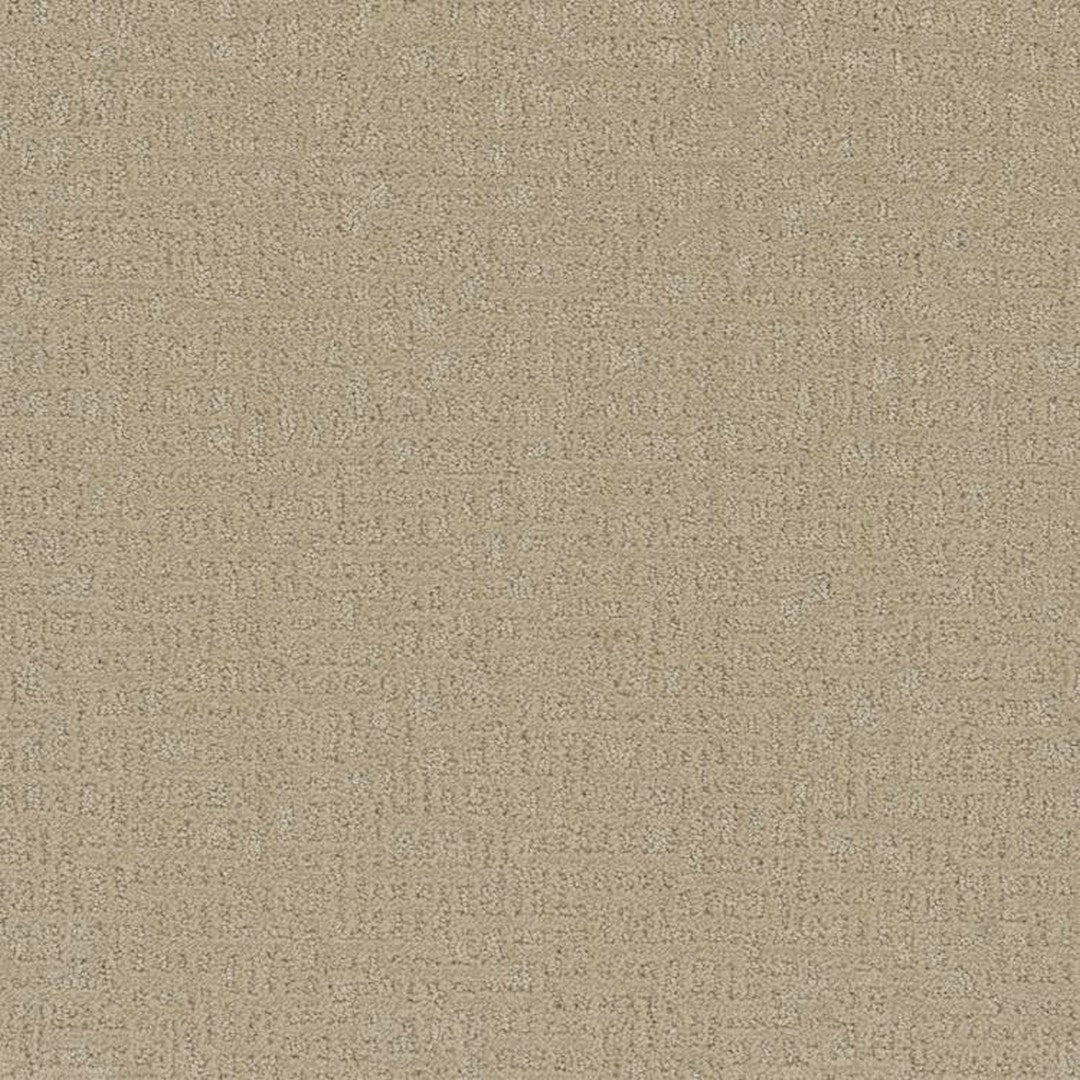 Phenix Floor Ever 12' Sonder Carpet Tile