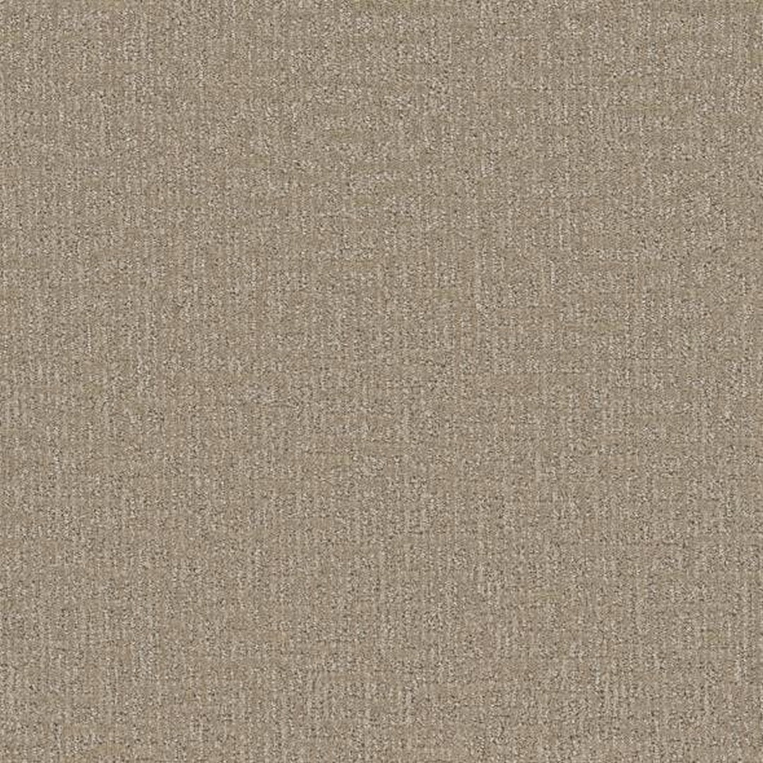Phenix Floor Ever 12' Sonder Carpet Tile