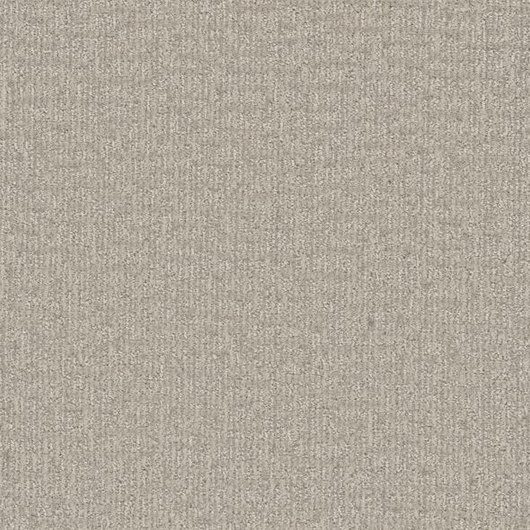 Phenix Floor Ever 12' Sonder Carpet Tile