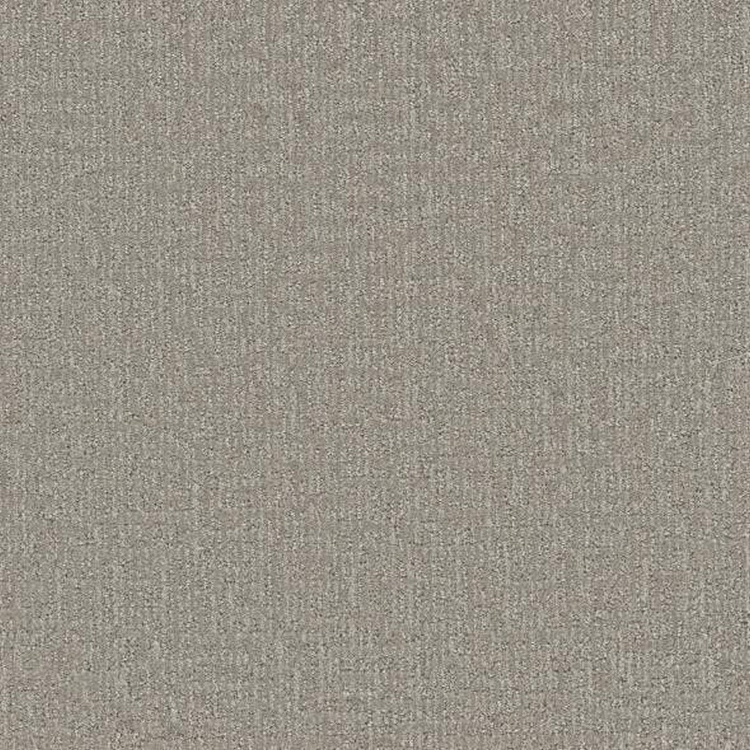 Phenix Floor Ever 12' Sonder Carpet Tile