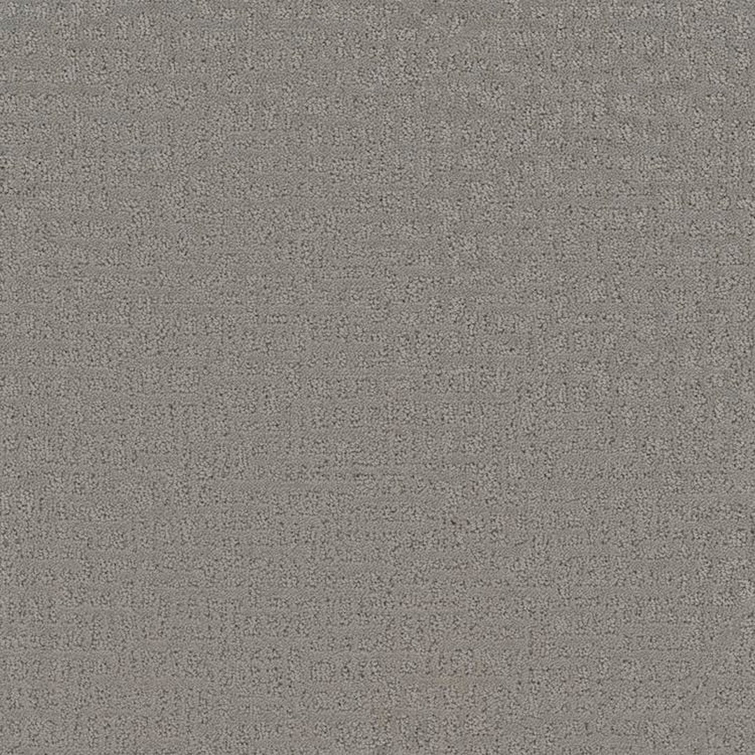 Phenix Floor Ever 12' Sonder Carpet Tile