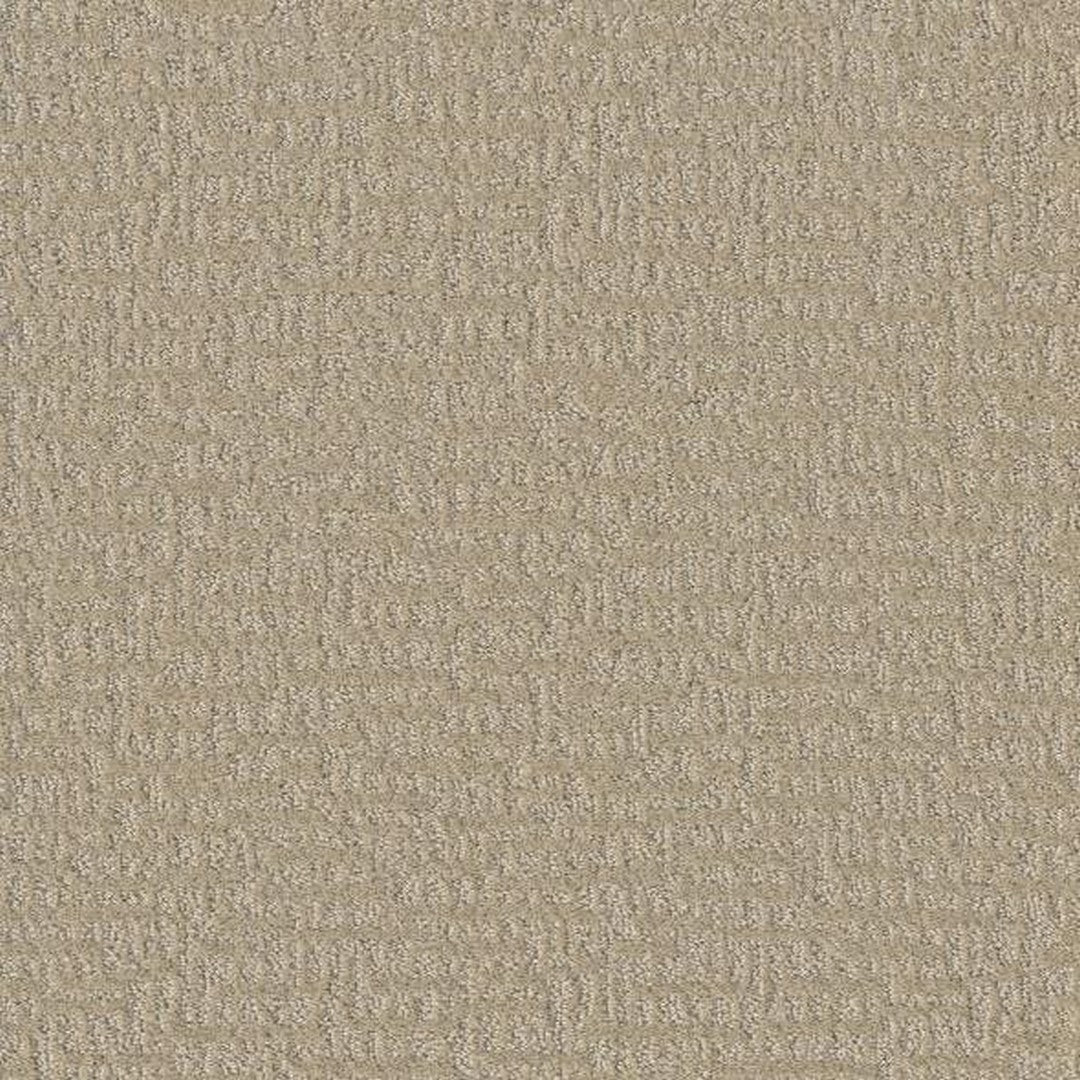 Phenix Floor Ever 12' Sonder Carpet Tile