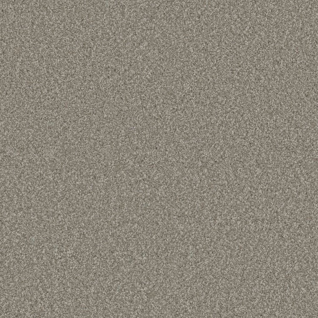 Phenix Floor Ever Eccentric 12' Carpet Tile