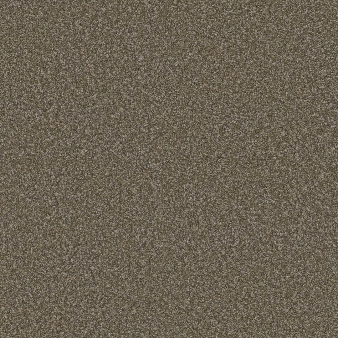 Phenix Floor Ever 12' Visionary Carpet Tile