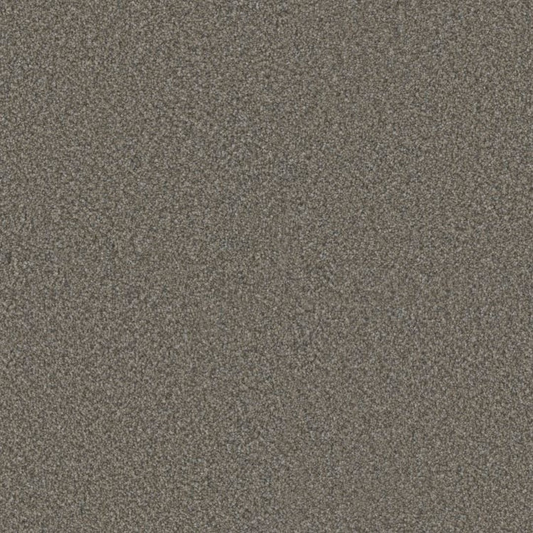 Phenix Floor Ever 12' Visionary Carpet Tile