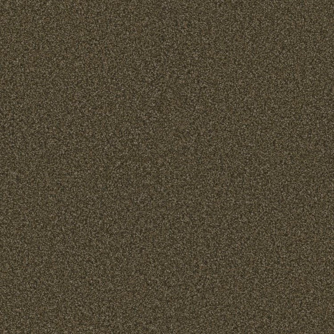 Phenix Floor Ever 12' Visionary Carpet Tile