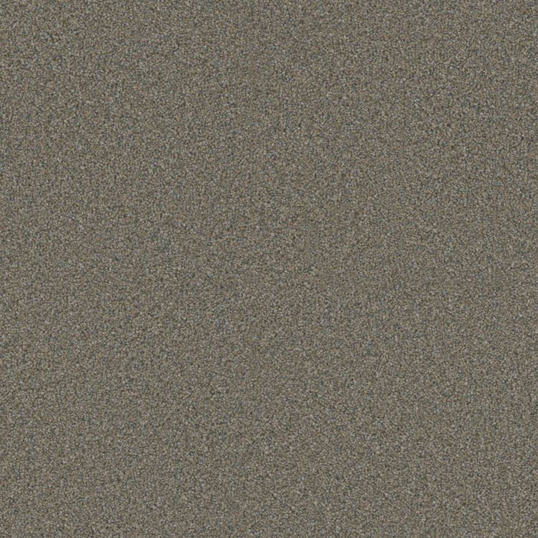 Phenix Floor Ever 12' Visionary Carpet Tile