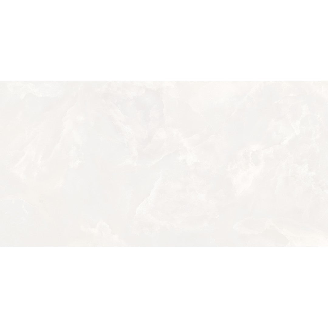 Tesoro Madras 24" x 48" Rectified Polished Porcelain Tile