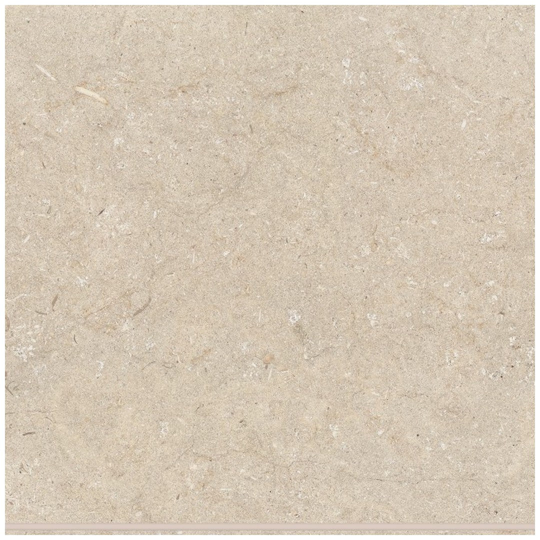 Bedrosians Poetry Stone 12" x 12" Matte Porcelain Field Tile