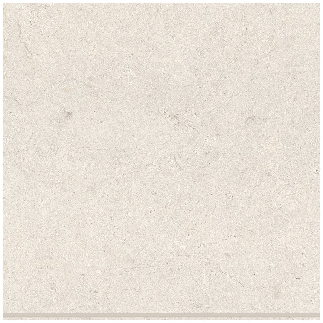 Bedrosians Poetry Stone 12" x 12" Matte Porcelain Field Tile