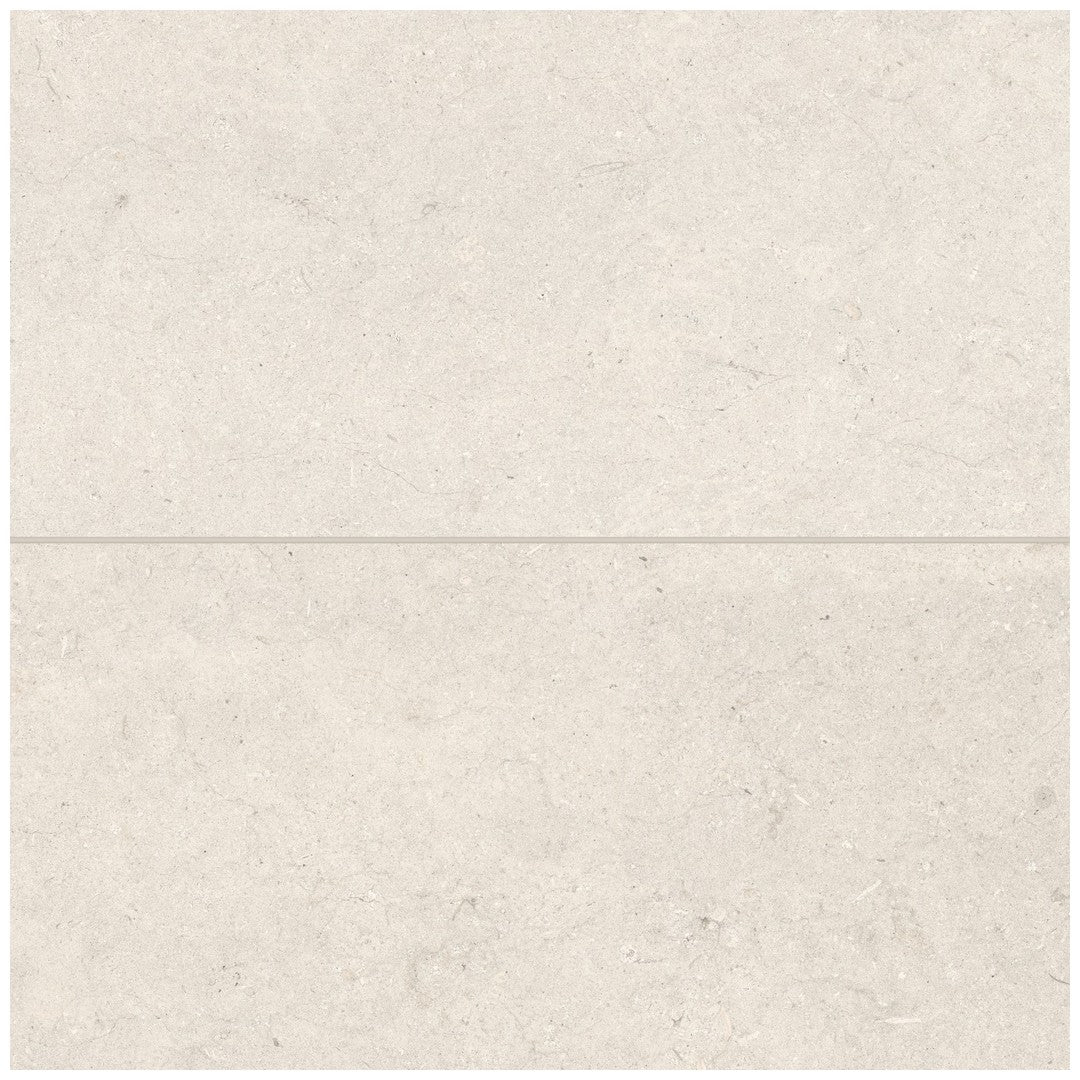 Bedrosians Poetry Stone 12" x 24" Matte Porcelain Field Tile