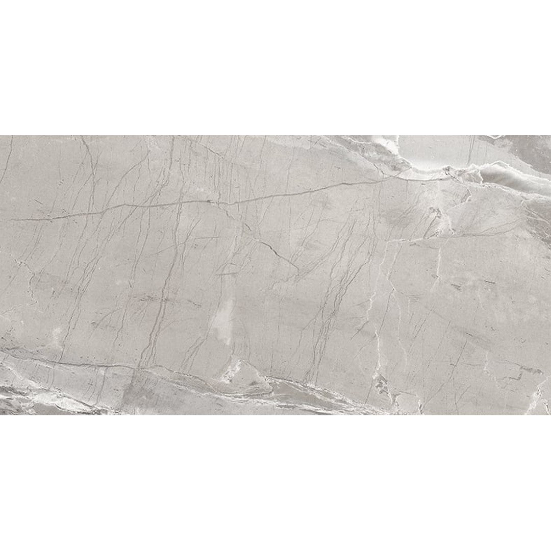 Milestone Absolute 12" x 24" Matte Porcelain Tile