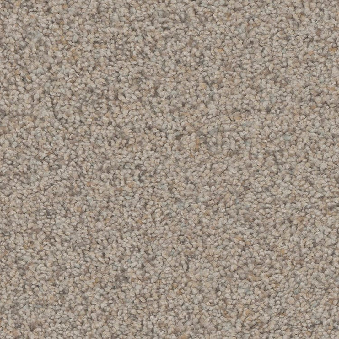 Phenix Floor Ever Pet Plus 12' Hydra Carpet Tile