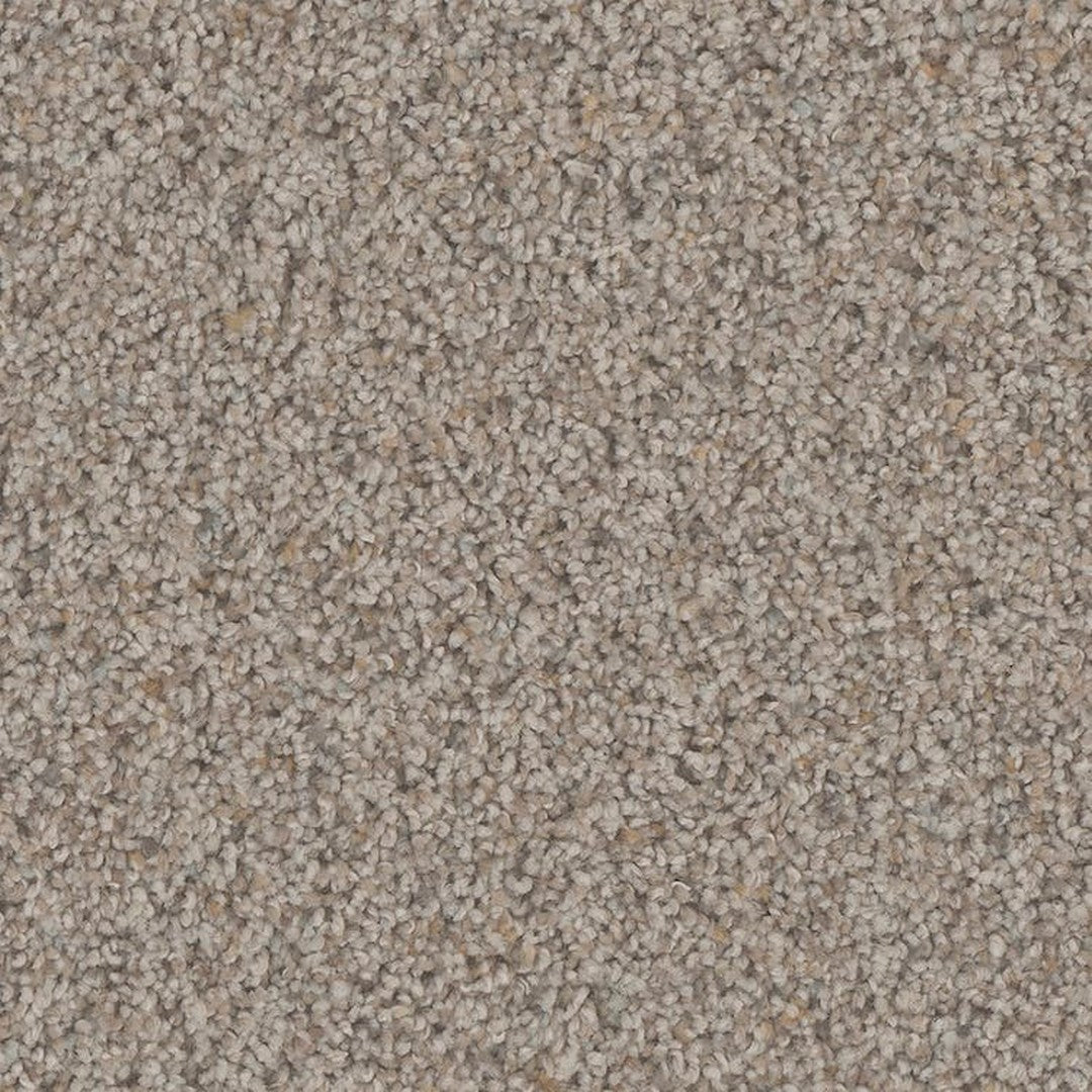 Phenix Floor Ever Pet Plus 12' Hydra Carpet Tile