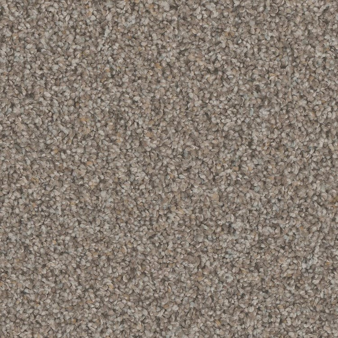 Phenix Floor Ever Pet Plus 12' Hydra Carpet Tile