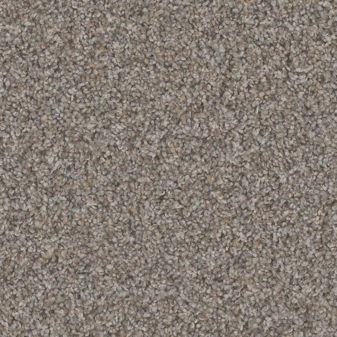 Phenix Floor Ever Pet Plus 12' Hydra Carpet Tile