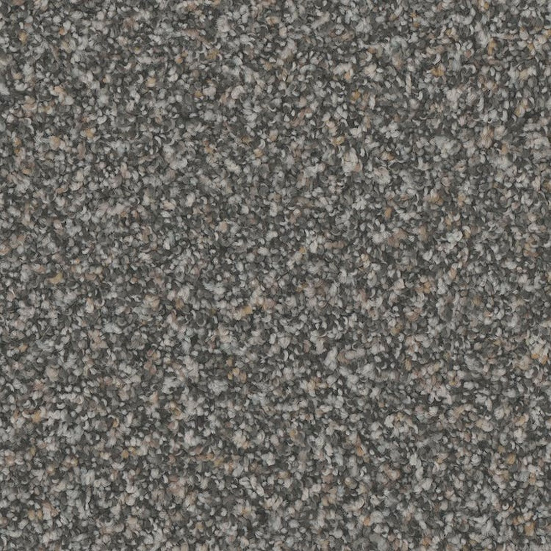 Phenix Floor Ever Pet Plus 12' Hydra Carpet Tile