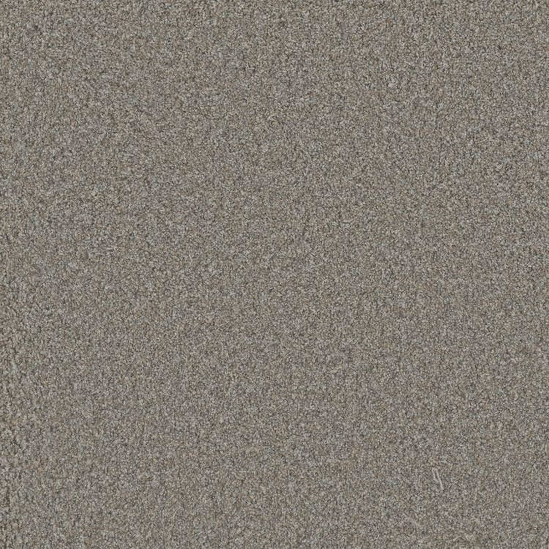 Phenix Floor Ever Pet Plus 12' Rhodes Carpet Tile