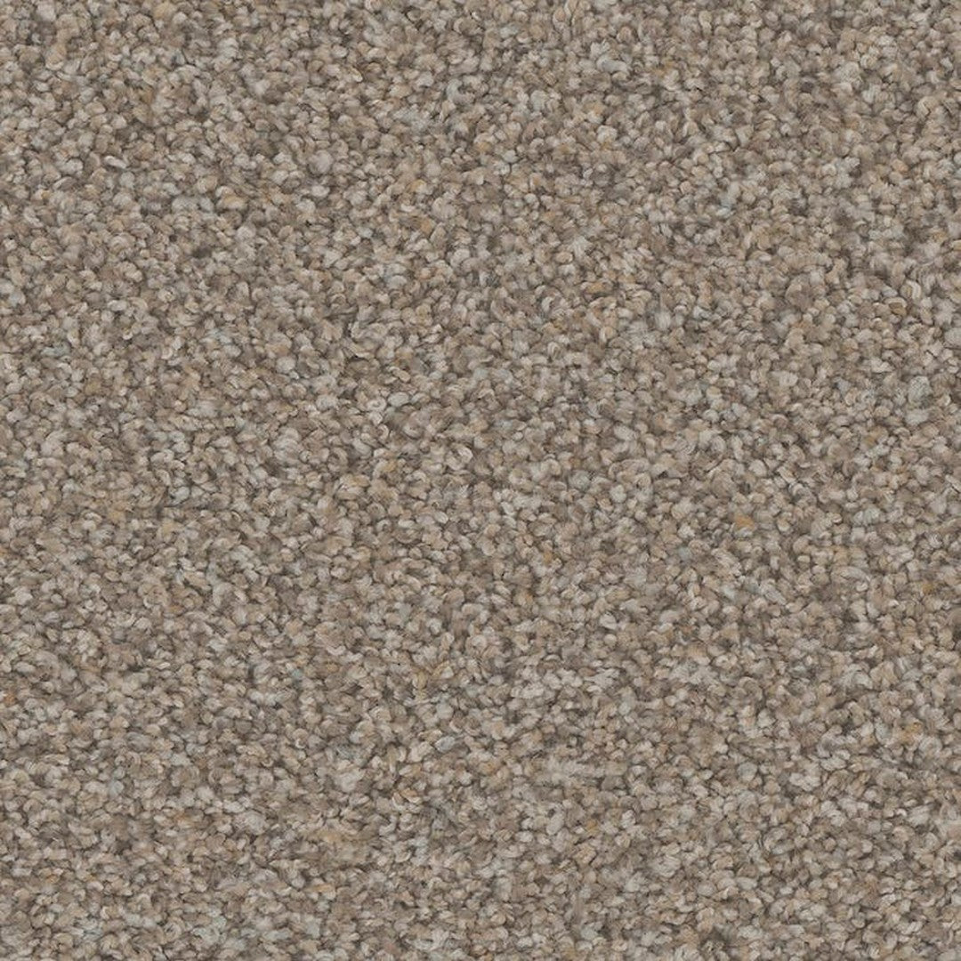 Phenix Floor Ever Pet Plus 12' Rhodes Carpet Tile