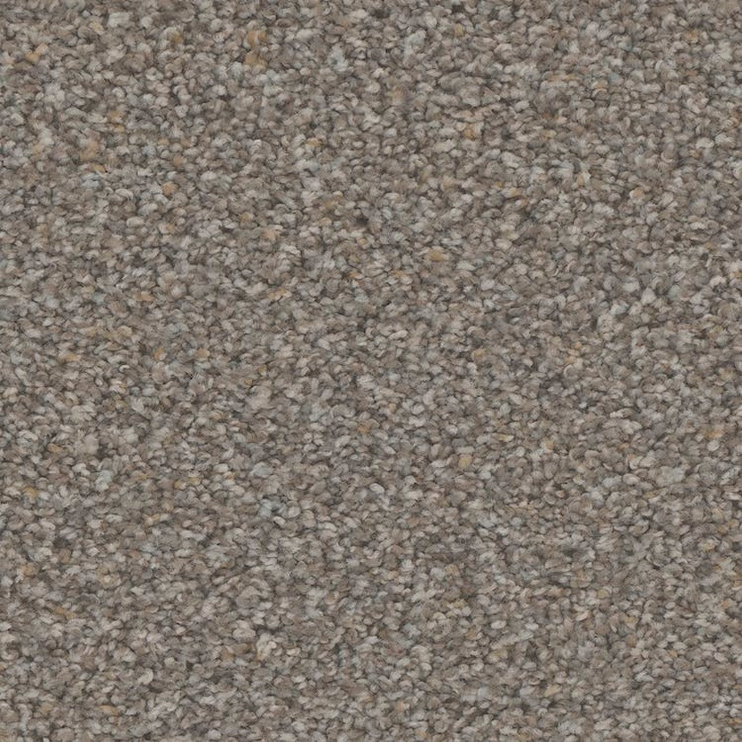 Phenix Floor Ever Pet Plus 12' Rhodes Carpet Tile
