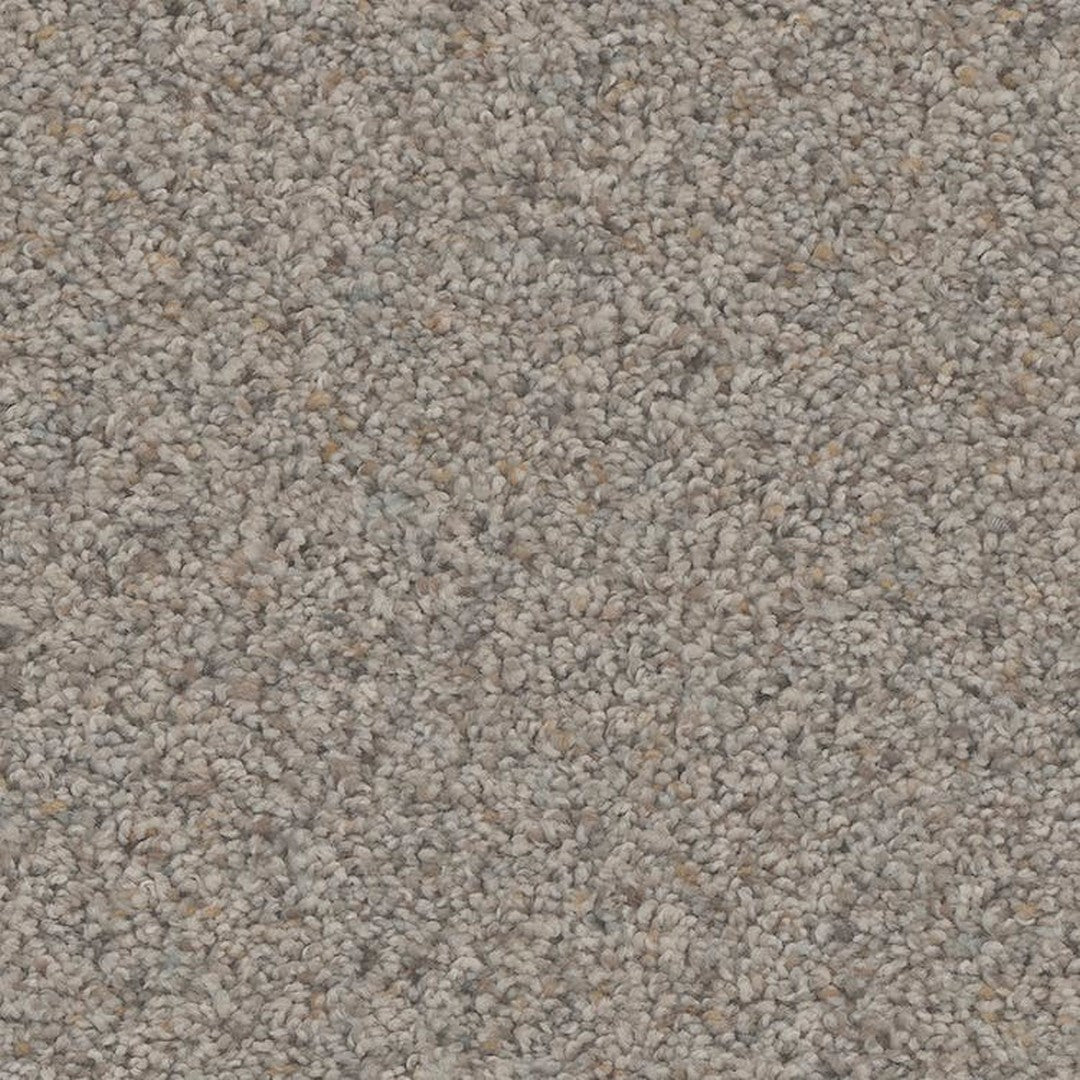 Phenix Floor Ever Pet Plus 12' Rhodes Carpet Tile